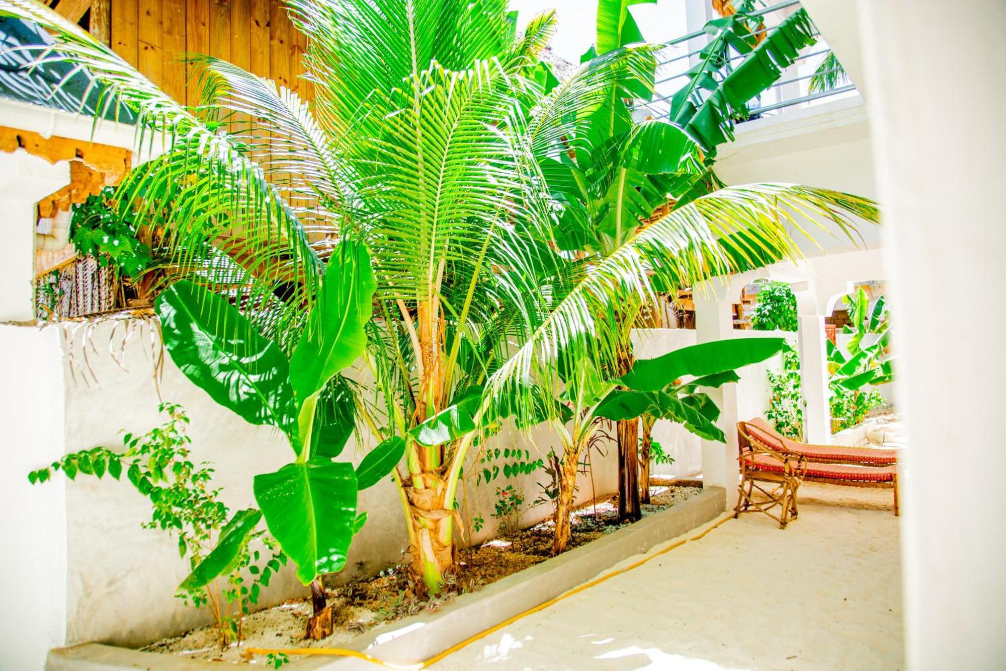 Pamoja Beach Stays Hotel In Jambiani Jambiani  Extérieur photo